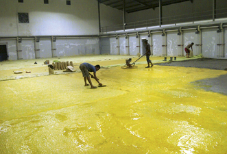 Colour Floor Hardener